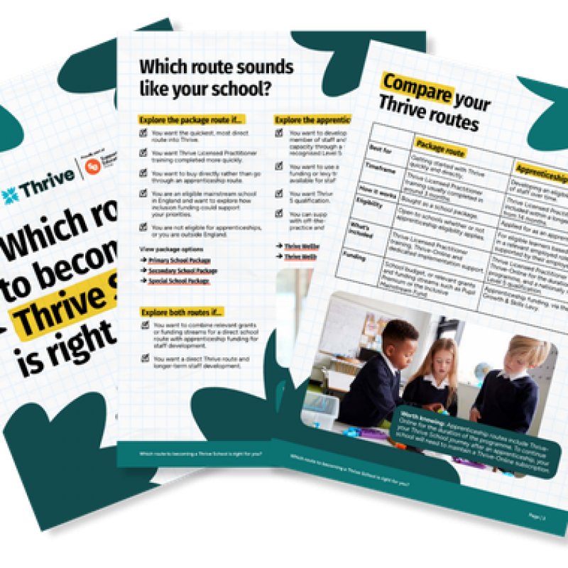 Package or apprenticeship? Choosing the right route to becoming a Thrive School